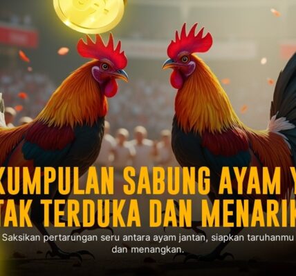 SV388 Sabung Ayam: Kenali Jenis Ayam Aduan dan Odds Terbaik