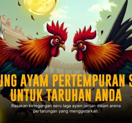 Membedah Jenis Ayam Aduan Sabung Ayam SV388 yang Populer
