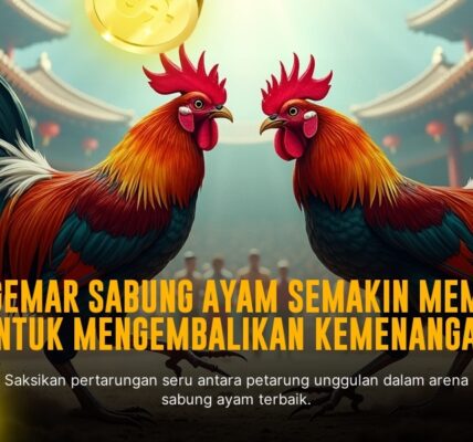 Mengenal Ayam Bangkok dalam Sabung Ayam SV388