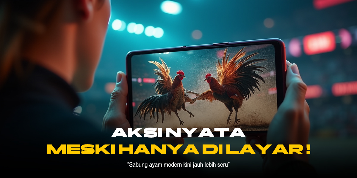 Rahasia Jenis Ayam Bangkok yang Menguasai Sabung Ayam SV388
