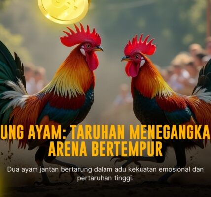 SV388 Sabung Ayam: Jenis Ayam, Peluang Taruhan, dan Keunggulan Provider