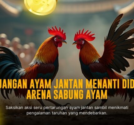 Mengenal Jenis Ayam dan Odds Sabung Ayam SV388