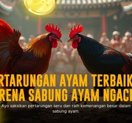 Menyelami Dunia Sabung Ayam SV388: Jenis Ayam, Odds, dan Provider Terpercaya