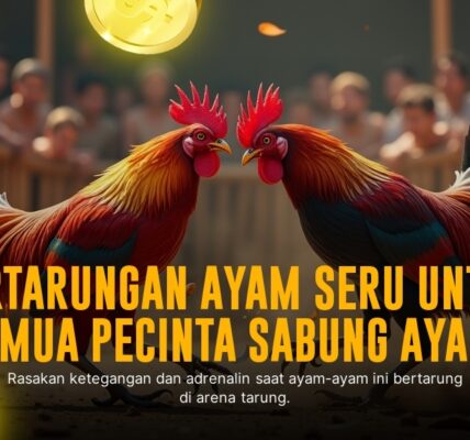 Mengenal Jenis Ayam Aduan dan Odds di SV388 Sabung Ayam