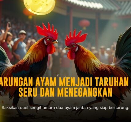 Mengenal Jenis Ayam Aduan dan Odds Sabung Ayam di SV388
