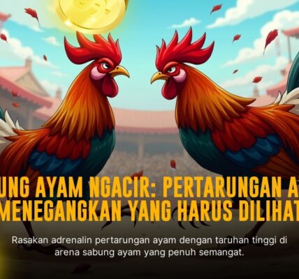 Kenali Ayam Bangkok dalam Sabung Ayam SV388