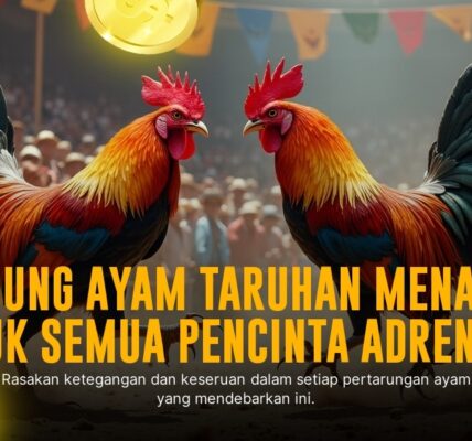 Mengenal Sabung Ayam SV388: Adu Ayam Modern dengan Odds Menarik
