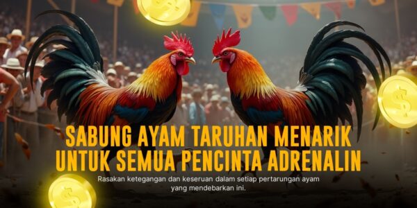 Mengenal Sabung Ayam SV388: Adu Ayam Modern dengan Odds Menarik