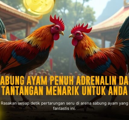 Unjuk Kehebatan Ayam Bangkok di Sabung Ayam SV388