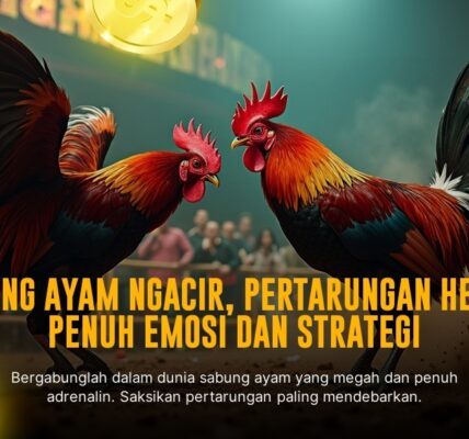 Mengenal Jenis Ayam Aduan SV388: Rahasia Sabung Ayam Online