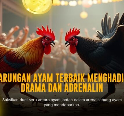 Mengenal Ayam Bangkok dalam Sabung Ayam SV388