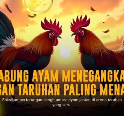 Mengenal Jenis Ayam Laga SV388: Adu Strategi di Arena Sabung Ayam