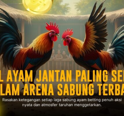 Mengulik Jenis Ayam Aduan Unggulan di Sabung Ayam SV388