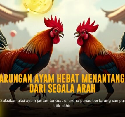 Mengenal Jenis Ayam Aduan di Sabung Ayam SV388 yang Terbaik