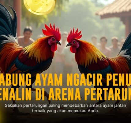 Strategi Jitu Sabung Ayam SV388: Kenali Jenis Ayam & Odds Terbaik
