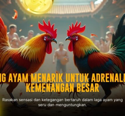 Mengenal Ayam Bangkok dalam Sabung Ayam SV388: Fakta & Odds Terbaik