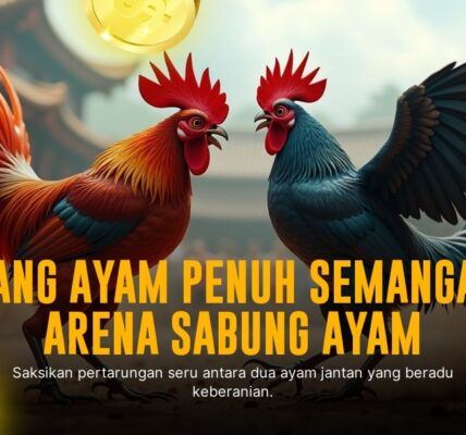 Mengenal Jenis Ayam Laga SV388, Raja Sabung Ayam Modern