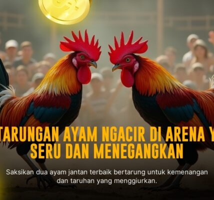 Jenis Ayam Petarung Unggulan dalam Sabung Ayam SV388