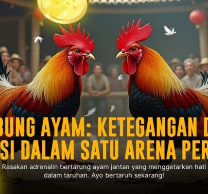 Mengenal Jenis Ayam Aduan di Sabung Ayam SV388